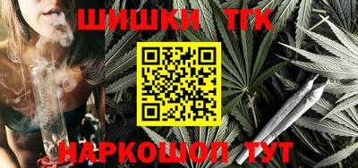 прущие грибы Гусиноозёрск