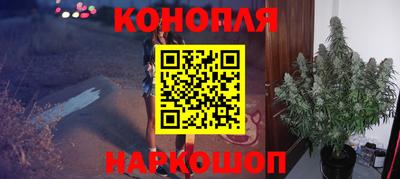 прущие грибы Гусиноозёрск