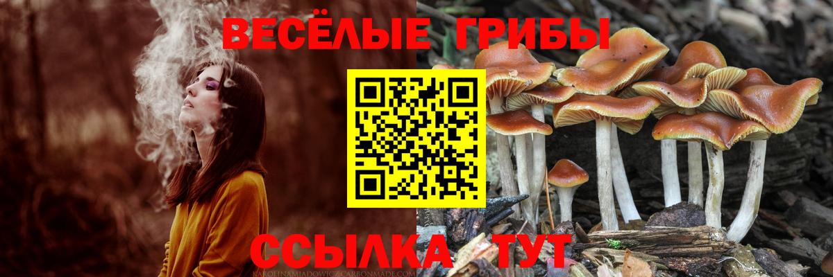 Псилоцибиновые грибы мухоморы  Галлюциногенные грибы ЛСД  Омск  Вход с VPN 